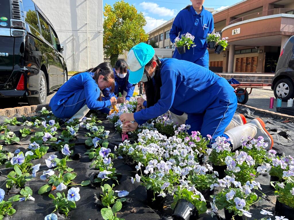 京都府立桂高等学校 | 学科紹介 : 専門学科:植物クリエイト科